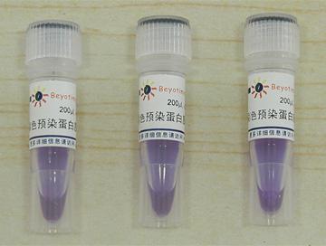 彩色预染蛋白质分子量标准(10-180kD)